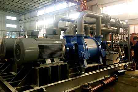 媚娘直播液環泵機組香港黑角電廠使用現場